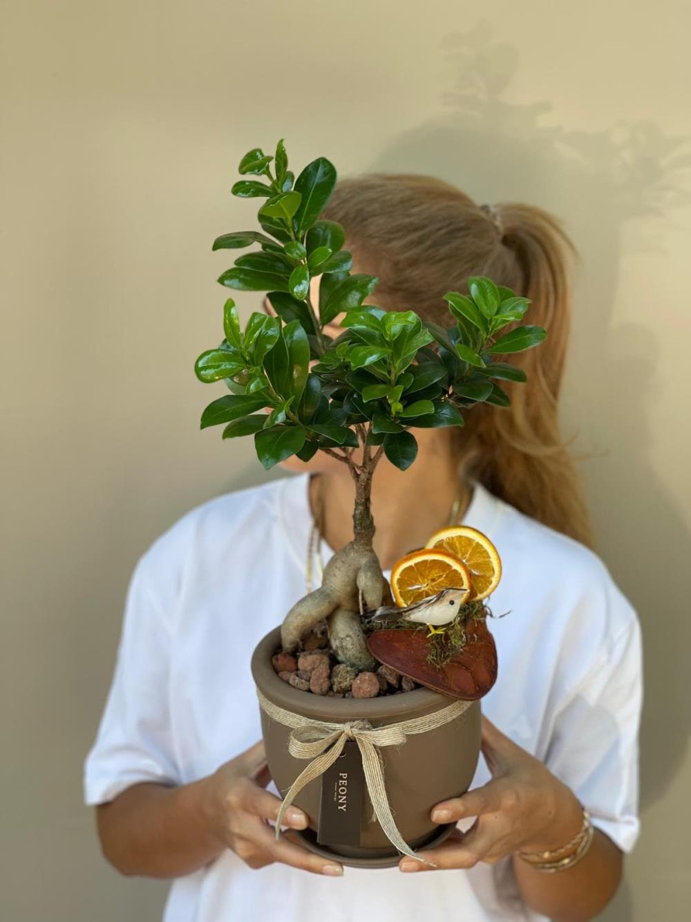 Bonsai Ağacı